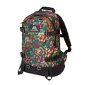 【Gregory】GG131367 22L ALL DAY V2.1 後背包 花園油彩